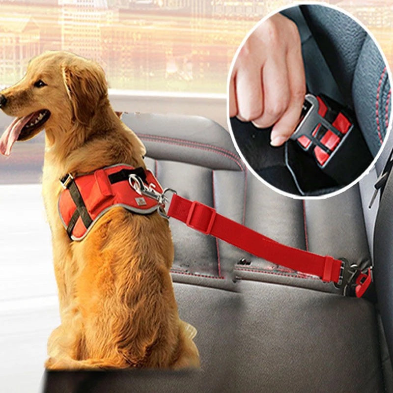 CintoPronto cinto ajustável para cão no carro