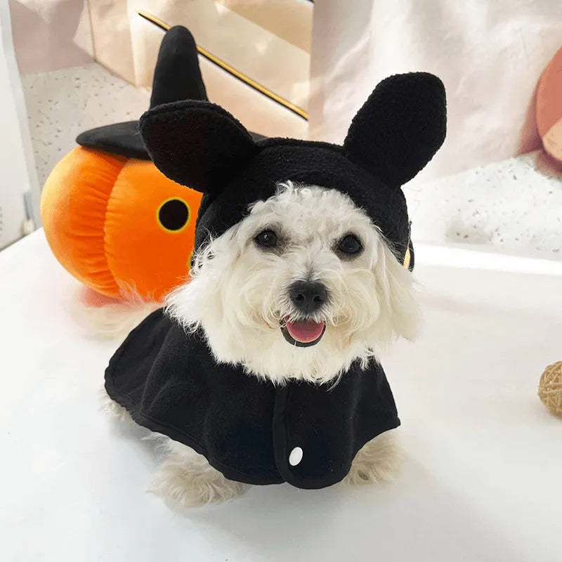 Capa de Halloween para Animais — Abóbora, Fantasma e Morcego