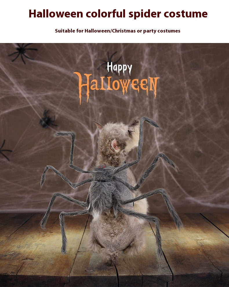Fato de aranha de Halloween num gato