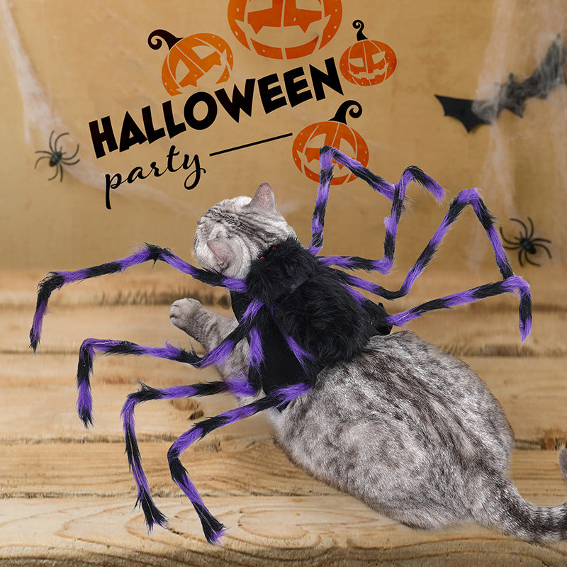 Fato de Aranha de Halloween para Animais